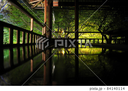 瑠璃光院2021年秋の夜間特別拝観　2階書院からのライトアップ 84140114