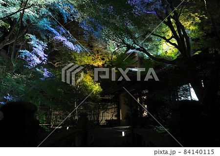 瑠璃光院2021年秋の夜間特別拝観　玄関のライトアップ 84140115