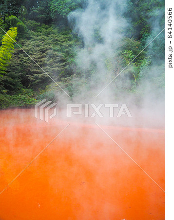 別府地獄巡り・血の池地獄 別府地獄巡り・血の池地獄 84140566