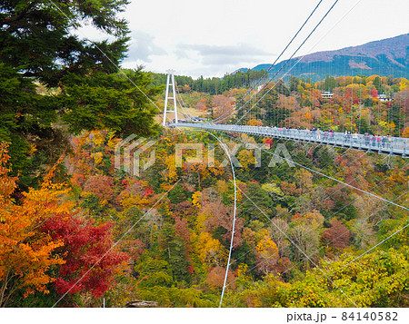 大分県九重町・晩秋の九重“夢”大吊橋 84140582