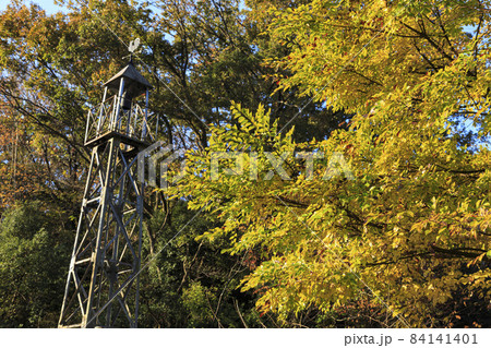 神奈川県横浜市戸塚区の原風景舞岡ふるさと公園の冬 84141401