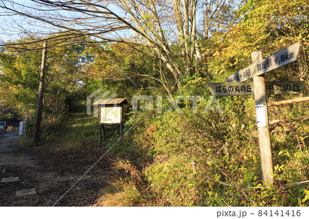 神奈川県横浜市戸塚区の原風景舞岡ふるさと公園の冬 84141416