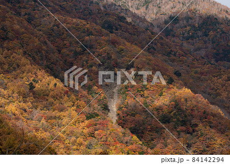 美しい山の紅葉 美しい山の紅葉 84142294