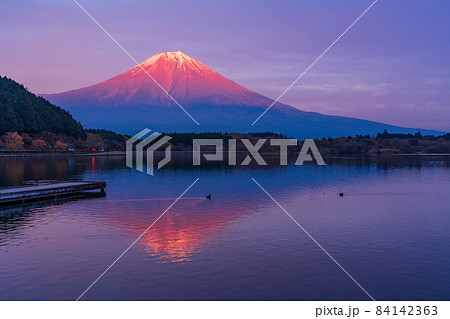 （静岡県）田貫湖から望む富士山　秋　夕景 84142363