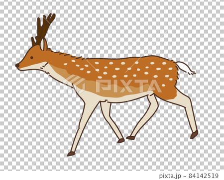 Deer deer only game illustration 84142519