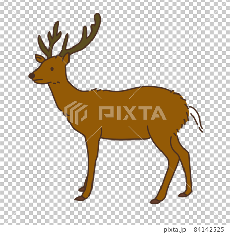 Deer deer only game illustration 84142525