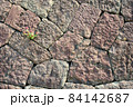 石垣　石積み　 84142687