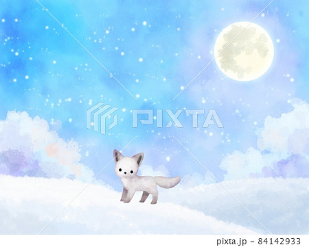 雪原のホッキョクギツネ 雪原のホッキョクギツネ 84142933