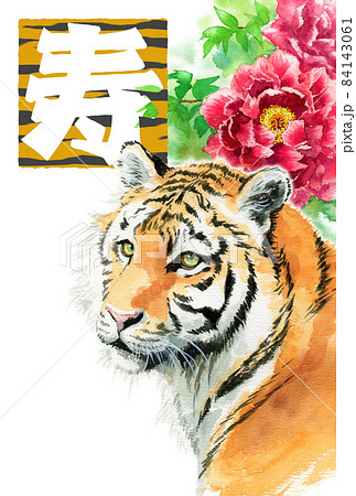 年賀用素材アナログ水彩虎の顔と冬の花赤の牡丹 84143061