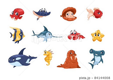 Cartoon fish characters. Cute underwater animal mascots, big eyes and adorable faces, sea and ocean habitats for childrens illustration. Funny walrus and shark, vector isolated set Cartoon fish characters. Cute underwater animal mascots, big eyes and adorable faces, sea and ocean habitats for childrens illustration. Funny walrus and shark, vector isolated set 84144008