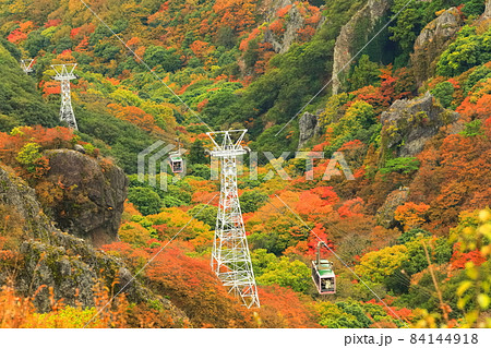 【香川県】晴天下の寒霞渓の紅葉 84144918