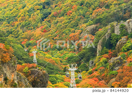 【香川県】晴天下の寒霞渓の紅葉 【香川県】晴天下の寒霞渓の紅葉 84144920