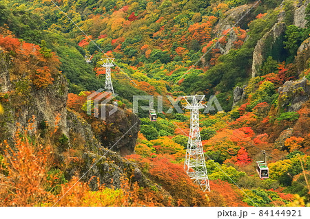 【香川県】晴天下の寒霞渓の紅葉 【香川県】晴天下の寒霞渓の紅葉 84144921