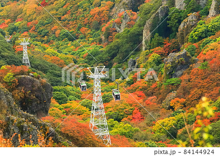 【香川県】晴天下の寒霞渓の紅葉 【香川県】晴天下の寒霞渓の紅葉 84144924