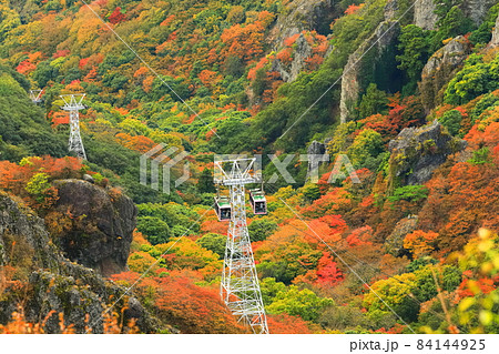 【香川県】晴天下の寒霞渓の紅葉 84144925