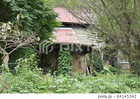 廃屋 廃屋 84145342