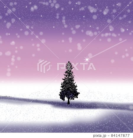 綺麗な雪景色 モミの木 冬 夜景のイラスト素材