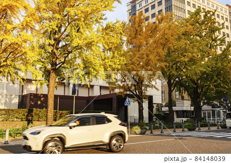 異国情緒あふれる神奈川県横浜市中区日本大通りの秋 84148039