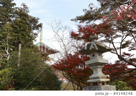 成田山新勝寺の秋の紅葉の様子。秋らしい風景です。 成田山新勝寺の秋の紅葉の様子。秋らしい風景です。 84148248