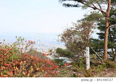 山頂の三角点　秋の風景、赤い木の実とともに 84148537
