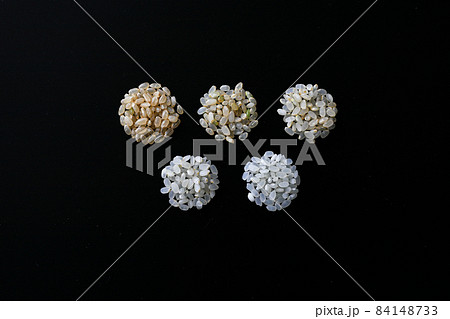 左から玄米、3分、5分、7分、白米の比較 左から玄米、3分、5分、7分、白米の比較 84148733