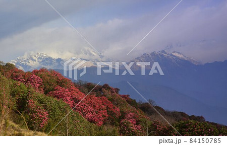ネパールの風景 ヒマラヤののどかな景色 ネパールの風景 ヒマラヤののどかな景色 84150785