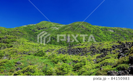 坪庭 坪庭 84150983