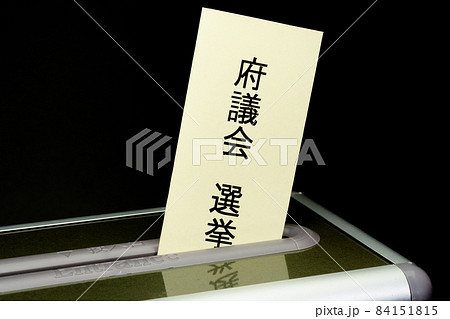 選挙シリーズ(選挙,衆議院,参議院,地方選挙,知事選挙,県議会選挙,市区町村長選挙,市区町村選挙投票 84151815