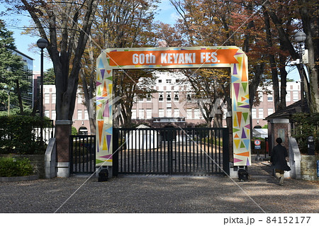 成蹊大学 84152177