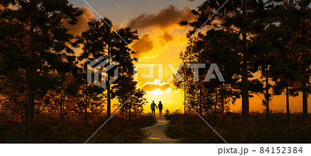 Magical scene in nature during dramatic colorful sunset. 84152384