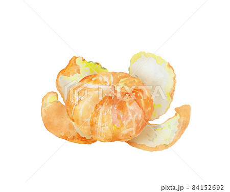 皮をむいたミカンの水彩画のイラスト素材 [84152692] - PIXTA