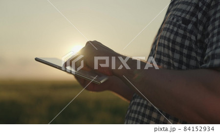 farmer working with crayfish field tablet at sunset, farming, harvest time, green wheat grown on farm, agricultural plantations of business vegetables, growing grains and seeds ranch, rye rural areas farmer working with crayfish field tablet at sunset, farming, harvest time, green wheat grown on farm, agricultural plantations of business vegetables, growing grains and seeds ranch, rye rural areas 84152934