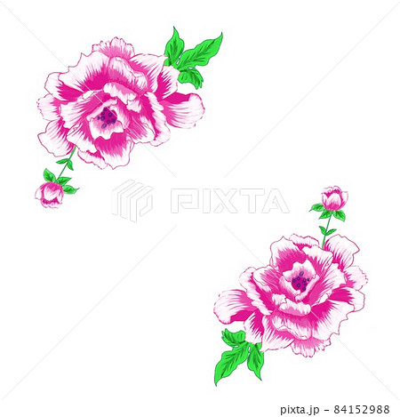 花 ピンク アジア 花 ピンク アジア 84152988