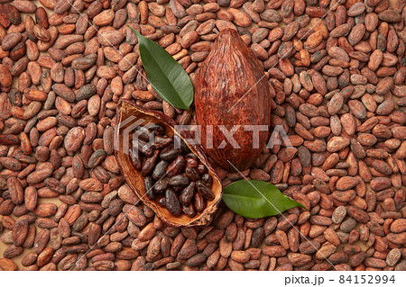 Pod of raw organic beans 84152994