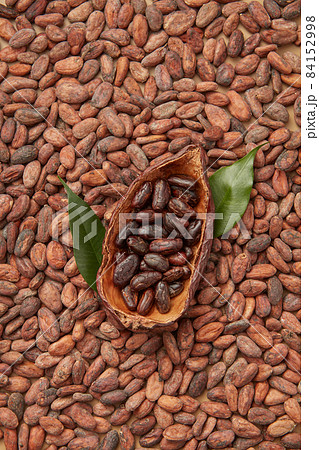 Pod of cocoa tree with organic beans Pod of cocoa tree with organic beans 84152998
