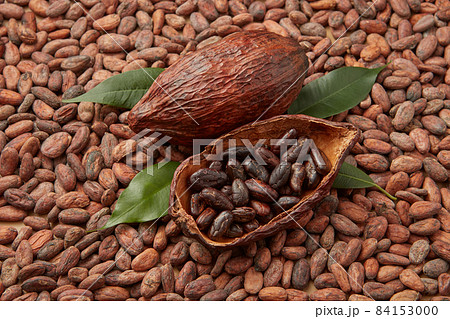 Aromatic peeled beans of cocoa tree 84153000