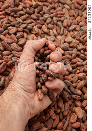 Crop person with handful of cocoa beans 84153004