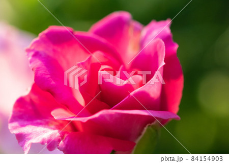 カジュアル 無造作 無頓着 84154903