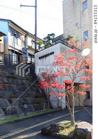 福井散策 愛宕坂（足羽山 福井県 福井市） 84155315