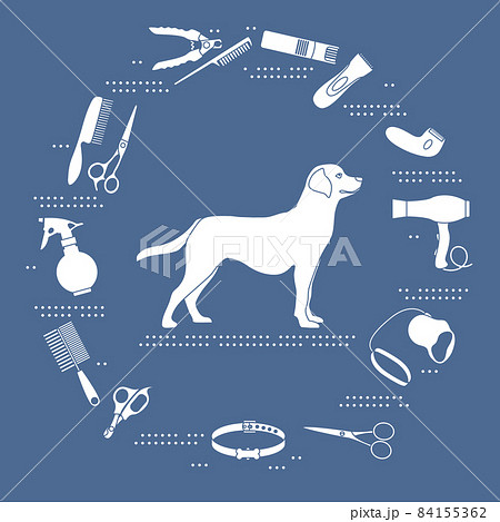 Labrador 2024 grooming kit