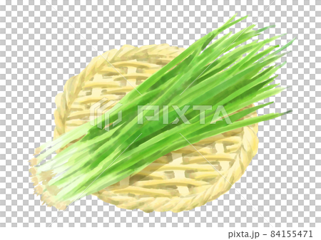 Zaru prime green onion 84155471