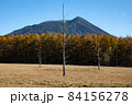 3本の立ち枯れた木 84156278