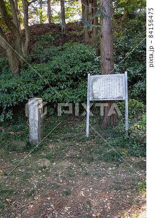 史跡金山城跡　本丸裏馬場跡 84156475