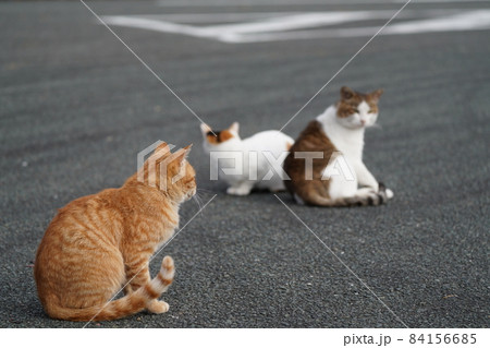 イクメンパパが生まれて半年の子供たちとご飯を食べてまったりする 84156685