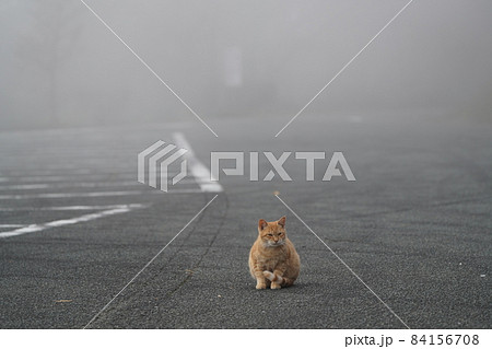 イクメンパパが生まれて半年の子供たちとご飯を食べてまったりする 84156708