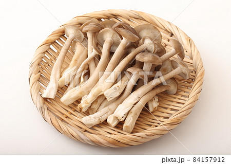 はたけしめじ(菌床) 84157912