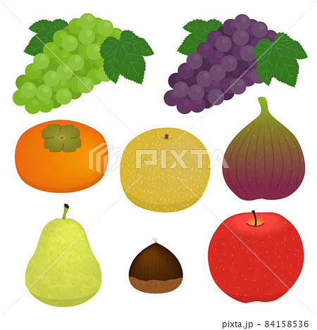 秋の果物のイラストのイラスト素材