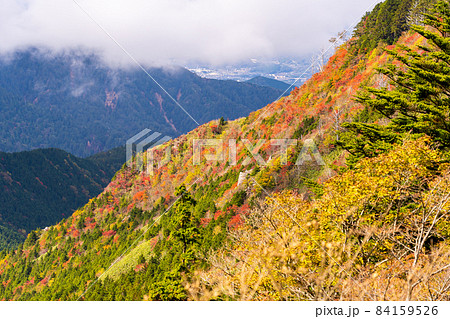 岐阜県と長野県の県境 神坂峠付近からの紅葉の山 岐阜県と長野県の県境 神坂峠付近からの紅葉の山 84159526