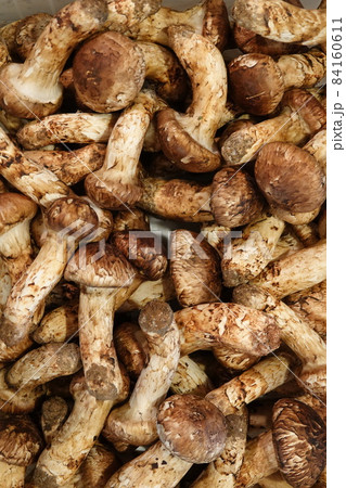 信州産松茸391g 松茸 （信州） 日本最高峰の南信州産の松茸を、生産地との