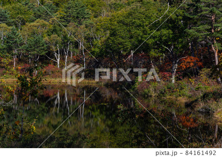 【長野県】秋の志賀高原_一沼の紅葉_01 【長野県】秋の志賀高原_一沼の紅葉_01 84161492